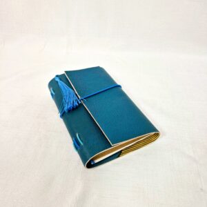 Carnet Compagnon Cuir carnet de voyage bullet journal